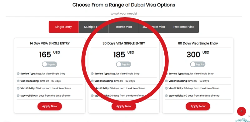 Apply Dubai Visa Step Two